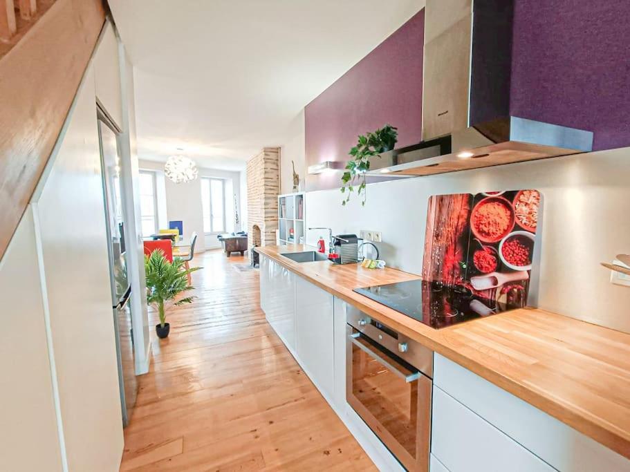 Cosy Pyrenees - 2ch - Vue Sur Le Chateau & Garage *