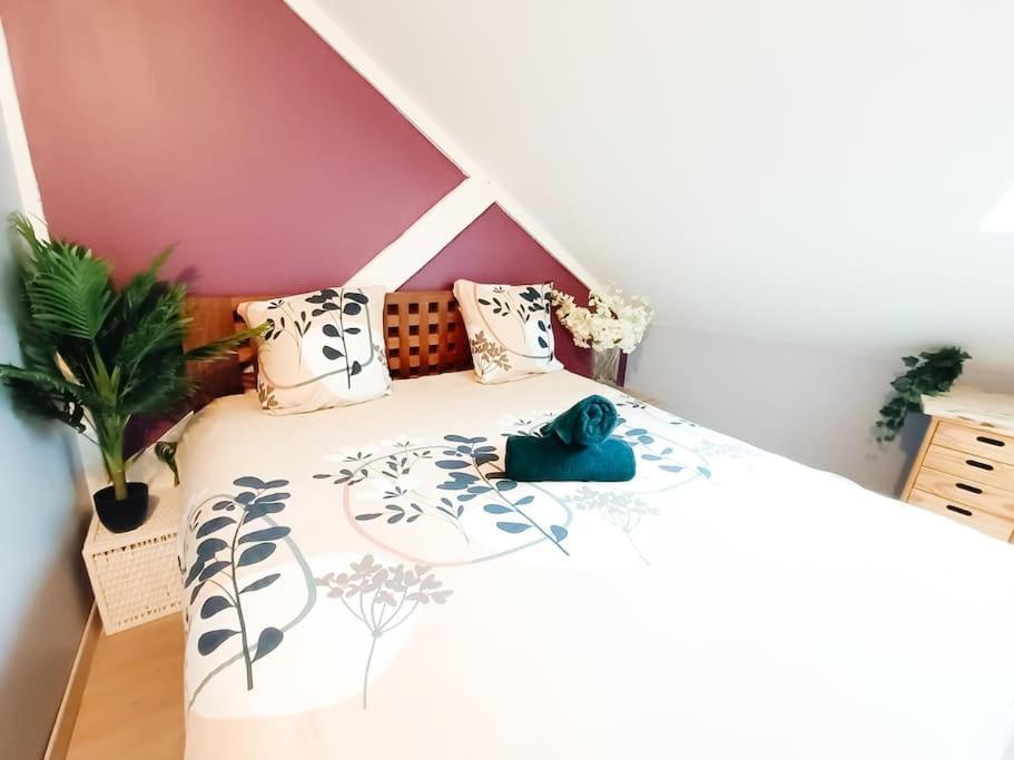 Cosy Pyrenees - 2ch - Vue Sur Le Chateau & Garage Apartment *